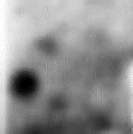 \includegraphics[width=4cm]{psfiles/ir4_rest_bw.ps}