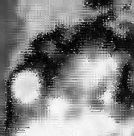 \includegraphics[width=4cm]{psfiles/ir2_rest_bw.ps}