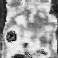 \includegraphics[width=4cm]{psfiles/ir7_rest_bw.ps}